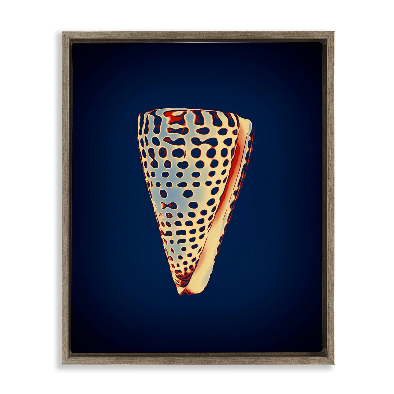 Stupell Industries Cone Shell on Blue Floater Framed Canvas Wall Art Design by Graffi*tee Studios